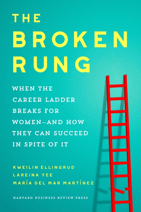 Cover image for book The Broken Rung