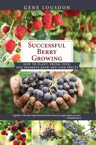 Successful Berry Growing