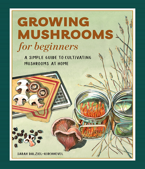 Cover image for book Growing Mushrooms for Beginners