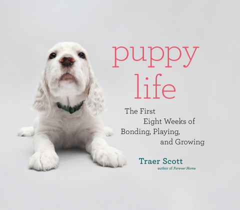 Cover image for book Puppy Life