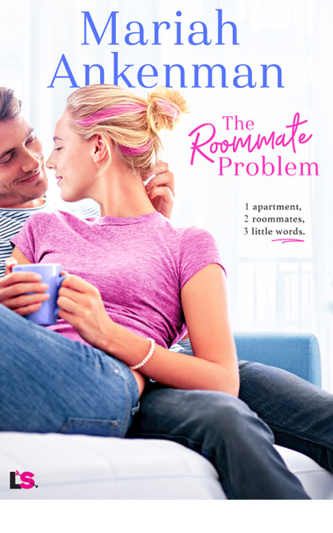 Cover image for book The Roommate Problem