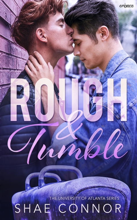 Cover image for book Rough and Tumble
