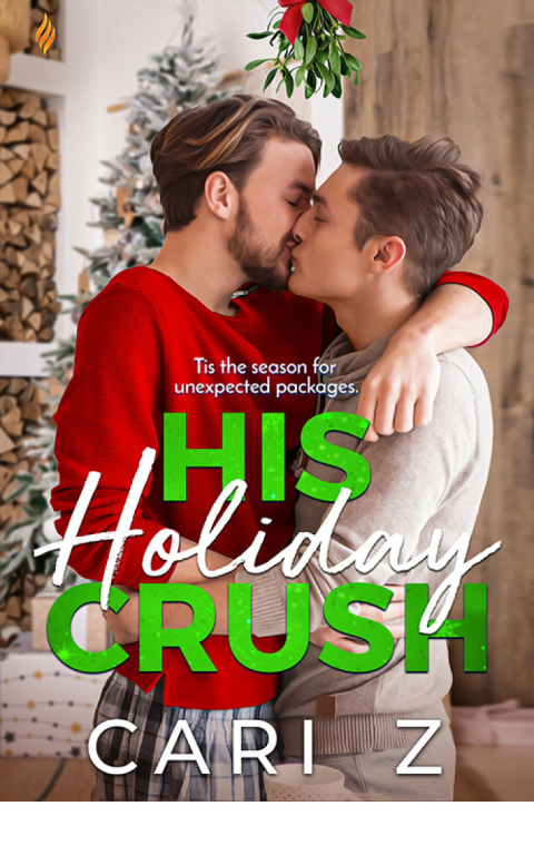 Cover image for book His Holiday Crush