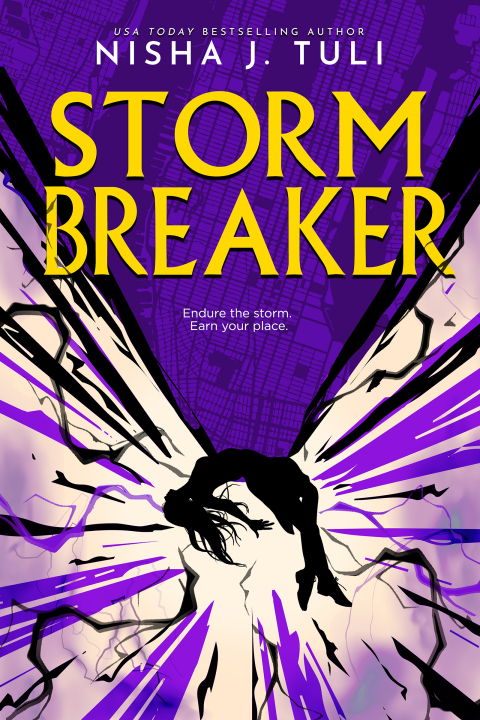 Cover image for book Storm Breaker
