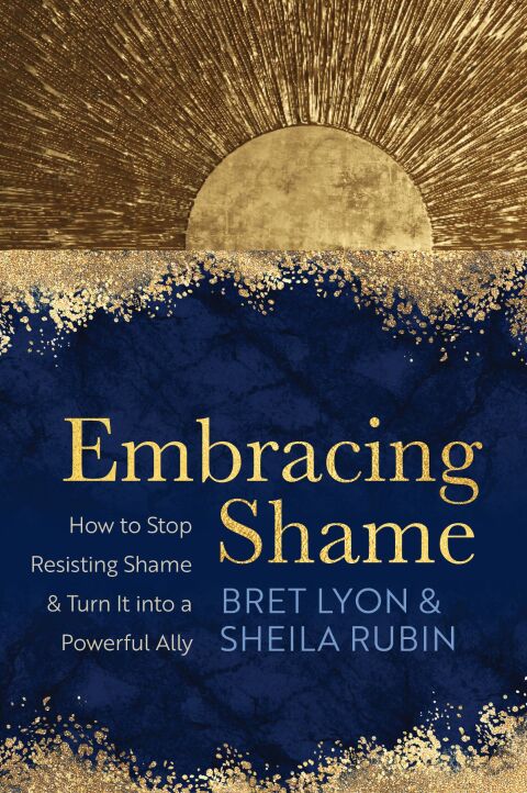 Cover image for book Embracing Shame