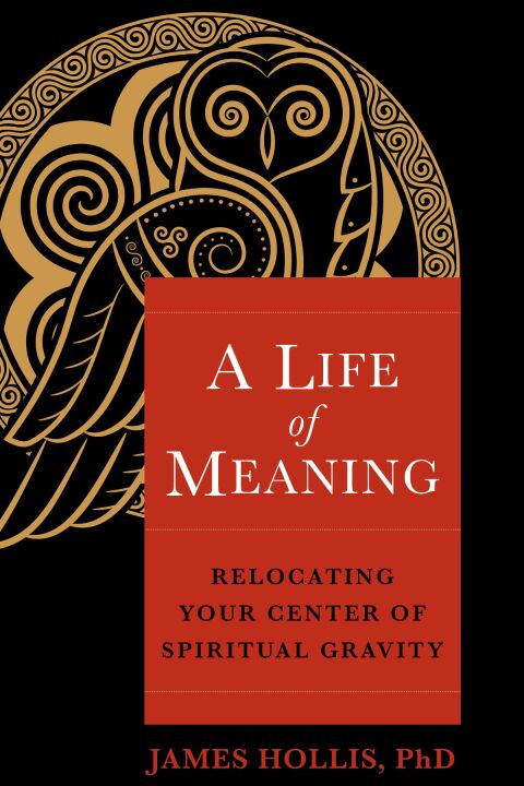 Cover image for book A Life of Meaning