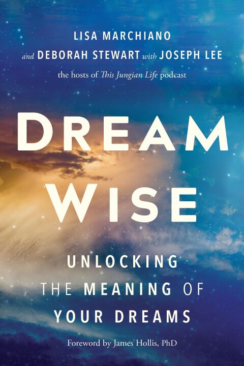 Cover image for book Dream Wise