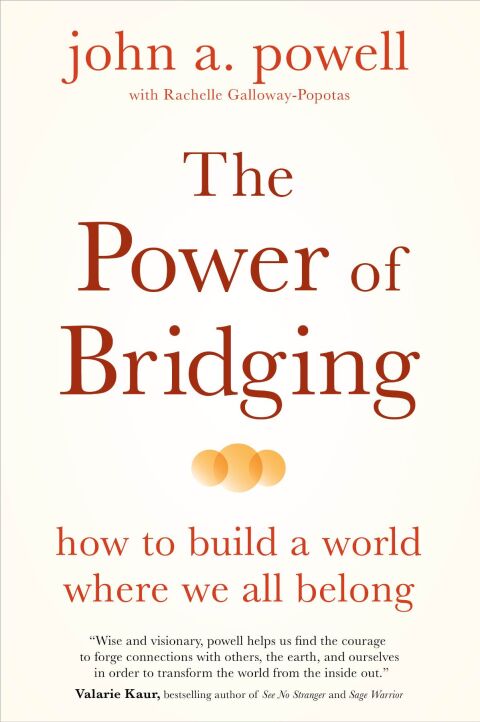 Cover image for book The Power of Bridging