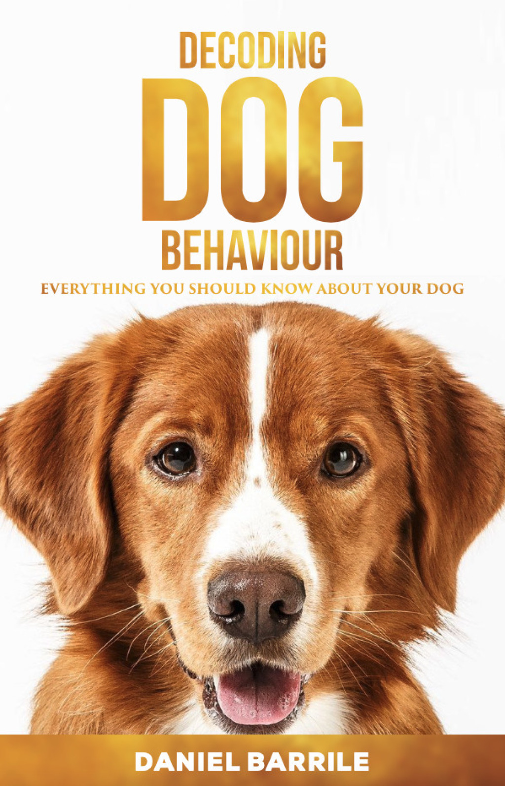 Decoding Dog Behaviour (eBook)