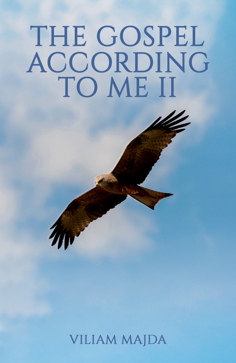 Cover image for book The Gospel According to Me II