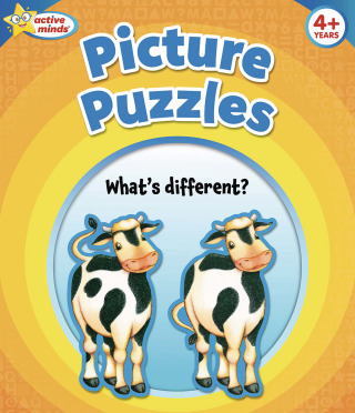 Picture Puzzles