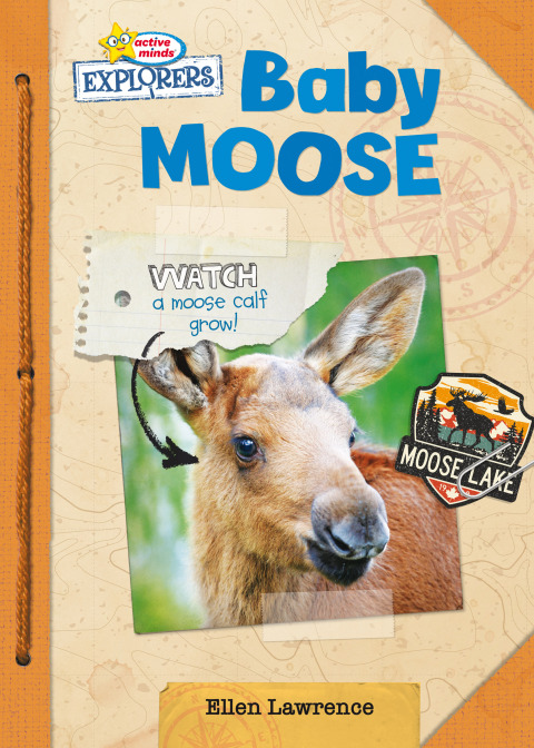 Cover image for book Baby Moose