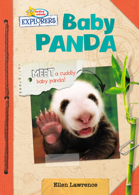 Cover image for book Baby Panda