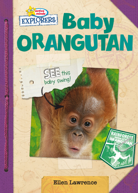 Cover image for book Baby Orangutan