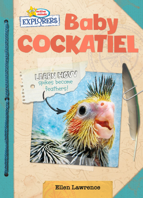 Cover image for book Baby Cockatiel