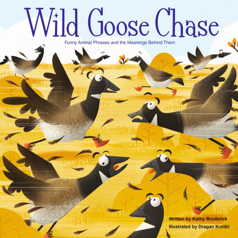 Cover image for book Wild Goose Chase