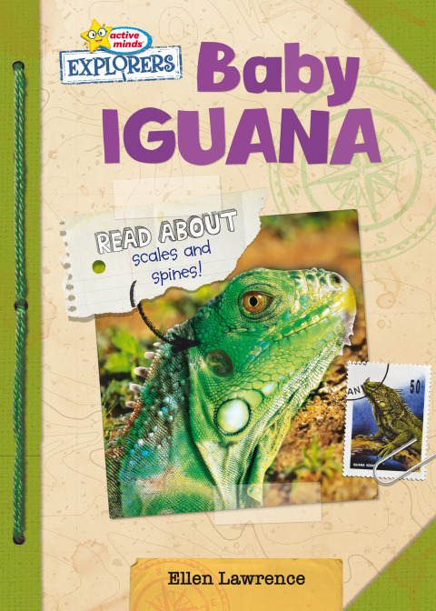 Cover image for book Baby Iguana