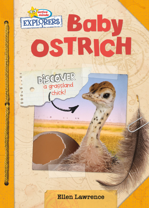 Cover image for book Baby Ostrich