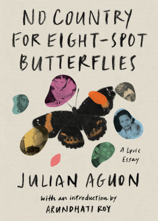 No Country for Eight-Spot Butterflies