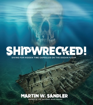 Shipwrecked!