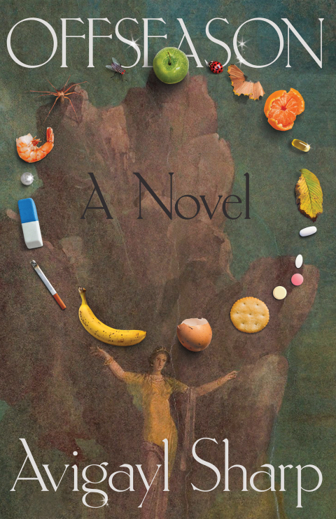 Cover image for book Offseason