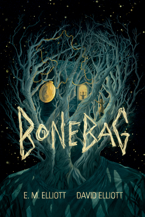 Cover image for book Bonebag