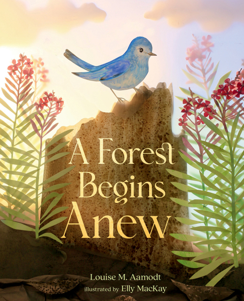 Cover image for book A Forest Begins Anew