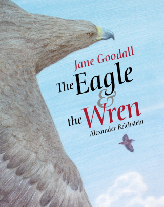 The Eagle & the Wren