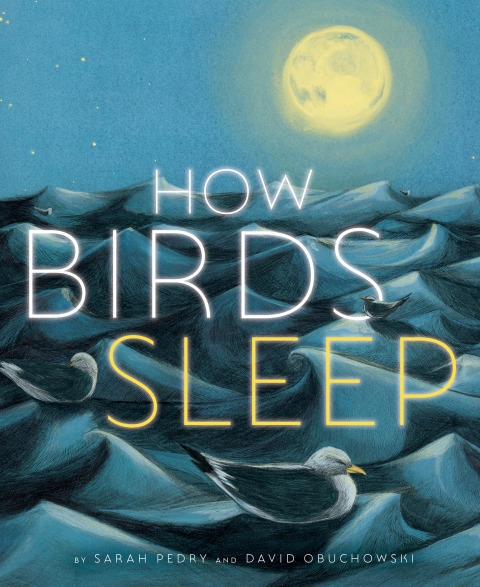 Cover image for book How Birds Sleep