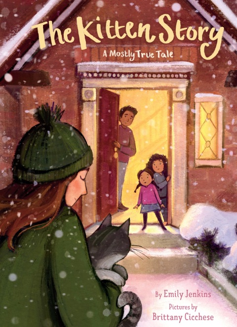Cover image for book The Kitten Story