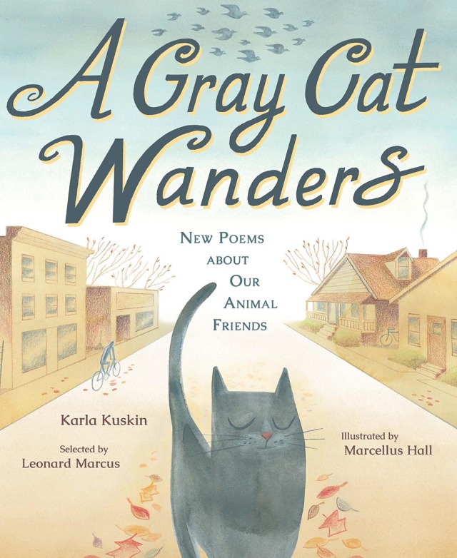 A Gray Cat Wanders