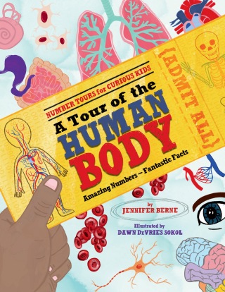 A Tour of the Human Body