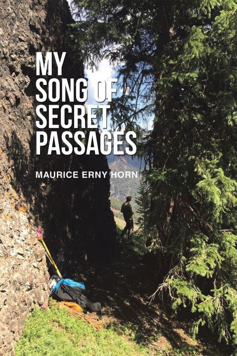 Cover image for book My Song of Secret Passages