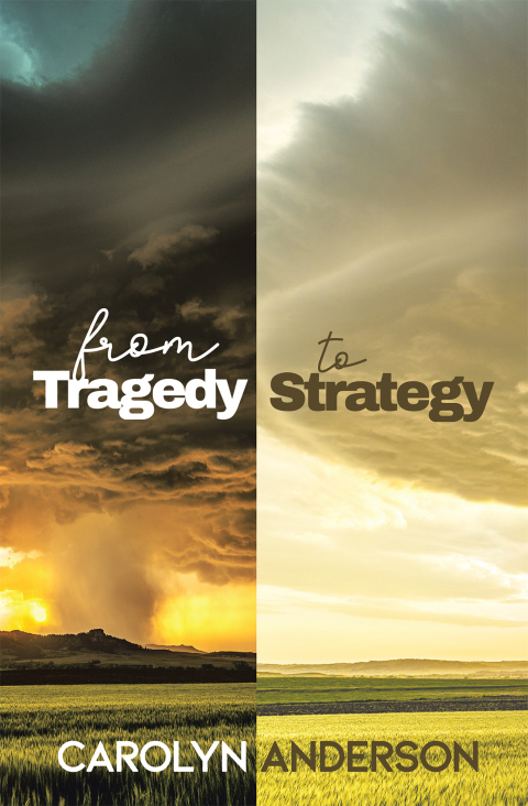 Cover image for book From Tragedy to Strategy