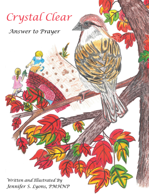Cover image for book Crystal Clear