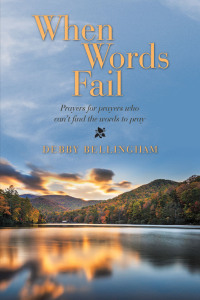Cover image: When Words Fail 9781664280236