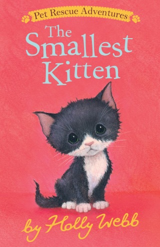 The Smallest Kitten