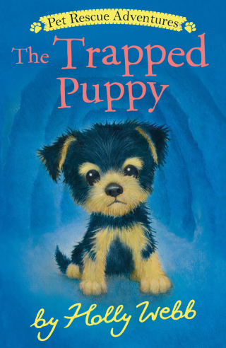 The Trapped Puppy