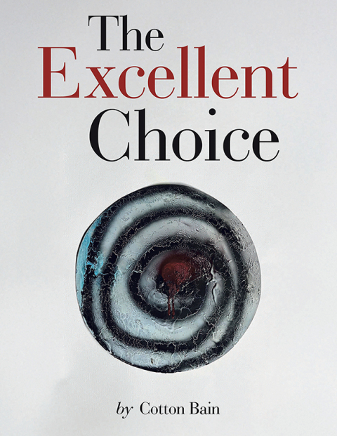 Cover image for book The Excellent Choice