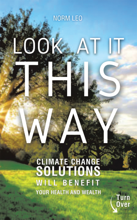Cover image for book LOOK  AT IT  THIS  WAY
