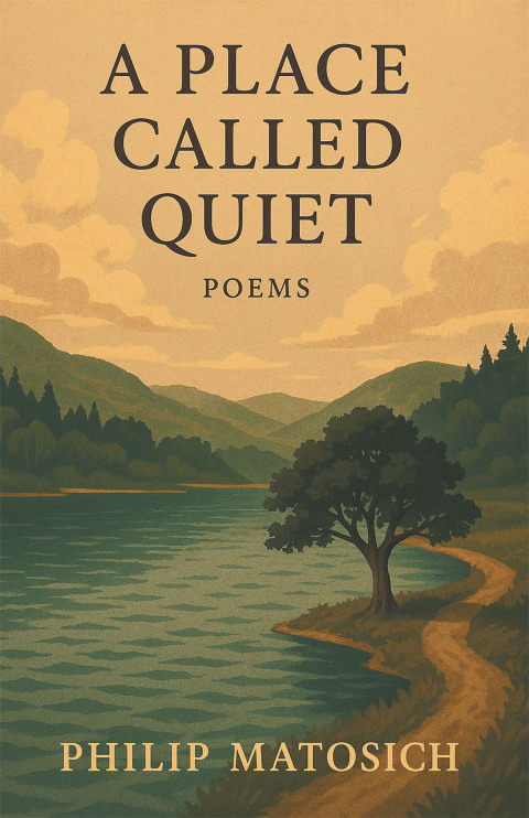 Cover image for book A Place Called Quiet