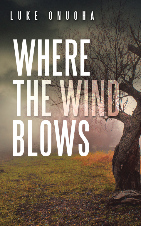 Cover image for book Where the Wind Blows