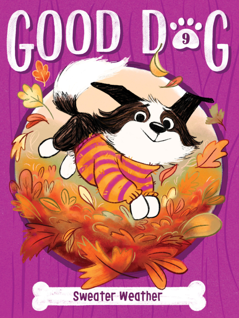 Cover image for book Sweater Weather