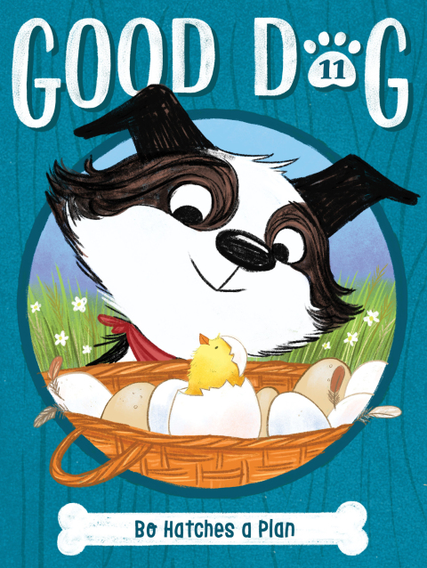 Cover image for book Bo Hatches a Plan