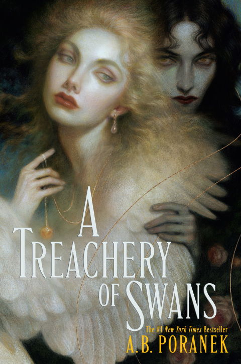 Cover image for book A Treachery of Swans