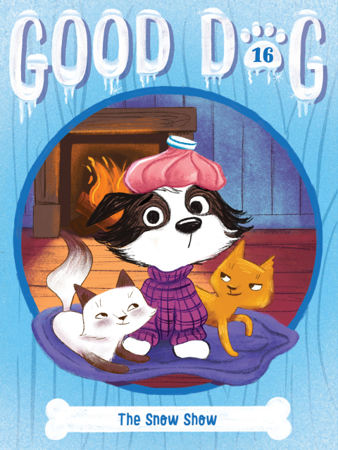 Cover image for book The Snow Show
