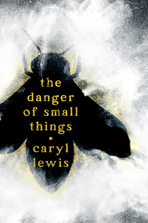 Cover image for book The Danger of Small Things