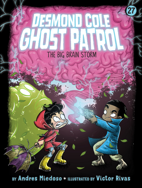 Cover image for book The Big Brain Storm
