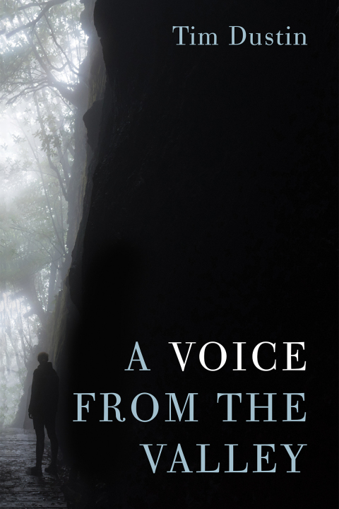 Cover image for book A Voice from the Valley