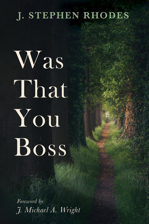 Cover image for book Was That You Boss